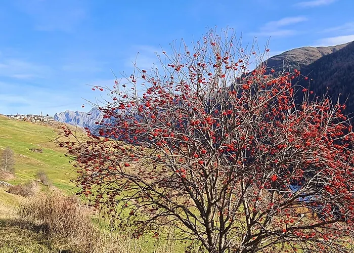 Lägenhet Mit Atemberaubender Aussicht By Interhome